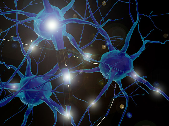 ¿Qué es la neuroarquitectura?